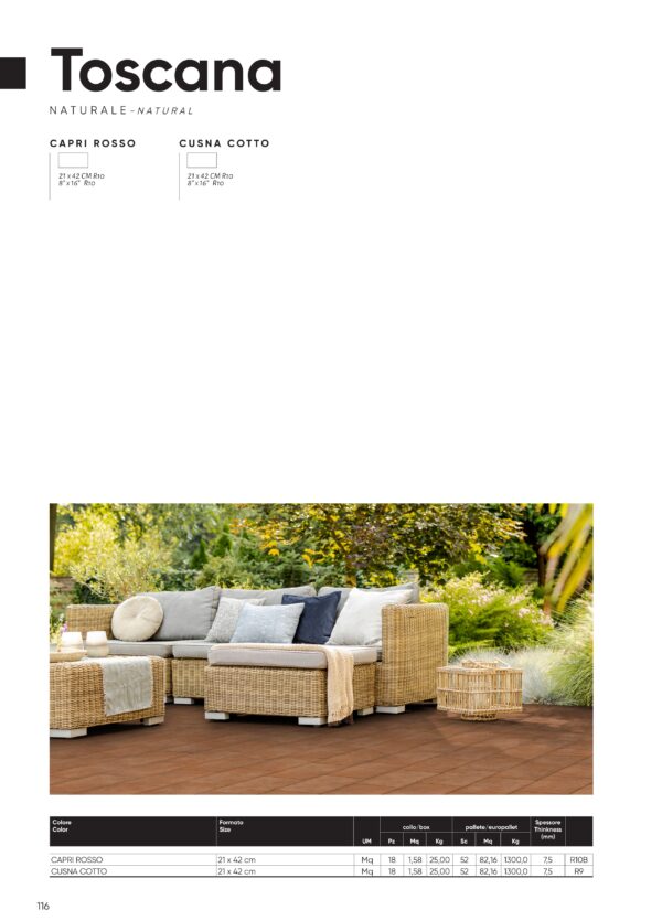 Gres porcellanato 2025 Linea Toscana  21 x 42 cm R10 - immagine 4