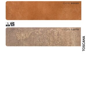 Gres porcellanato 2025 Linea Toscana  21 x 42 cm R10