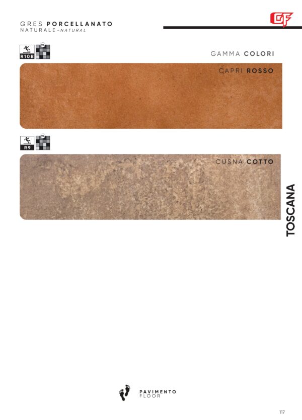 Gres porcellanato 2025 Linea Toscana  21 x 42 cm R10
