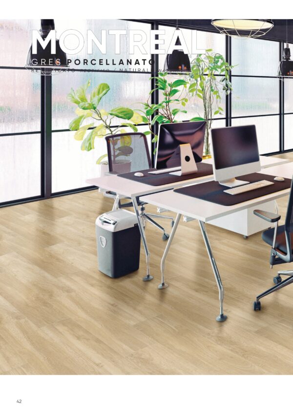 Gres porcellanato 2025 Linea Montreal 20 x 121 cm Rettificato - immagine 2