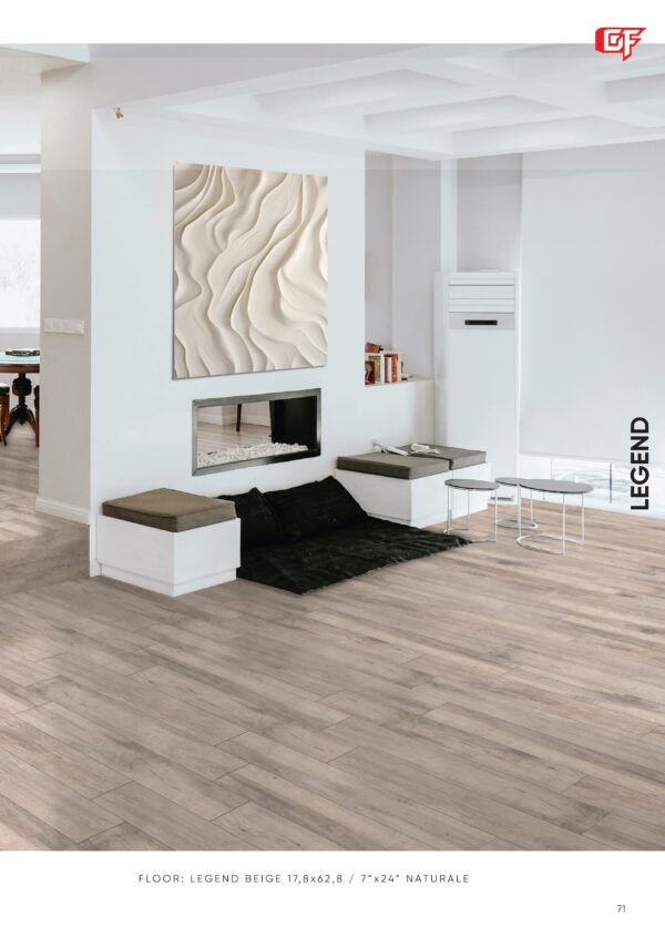 Gres porcellanato 2025 Linea Legend 17,8 x 62,8 cm - immagine 3